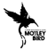 Motley Bird